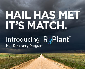 Introducing R3Plant