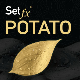 Setfx Potato
